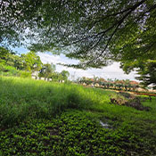 ผลงาน บ้านคุณคริส